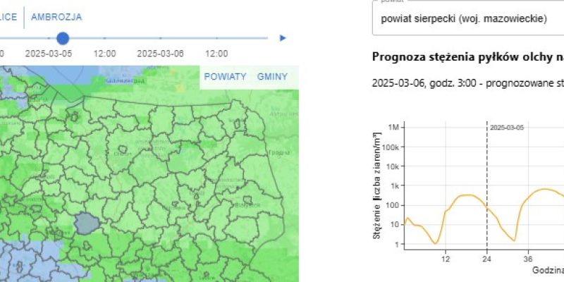 Sezon pylenia olchy i brzozy rozpoczęty – prognoza alergenów dla zdrowia