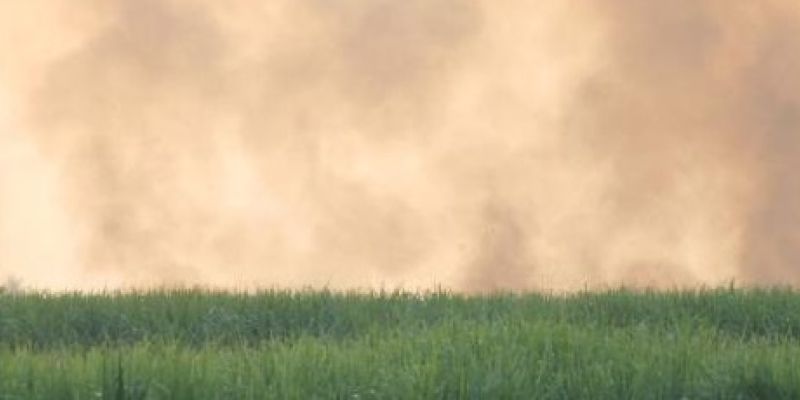Biuletyn WMO dotyczący jakości powietrza i klimatu, opracowany we współpracy z CAMS i NASA